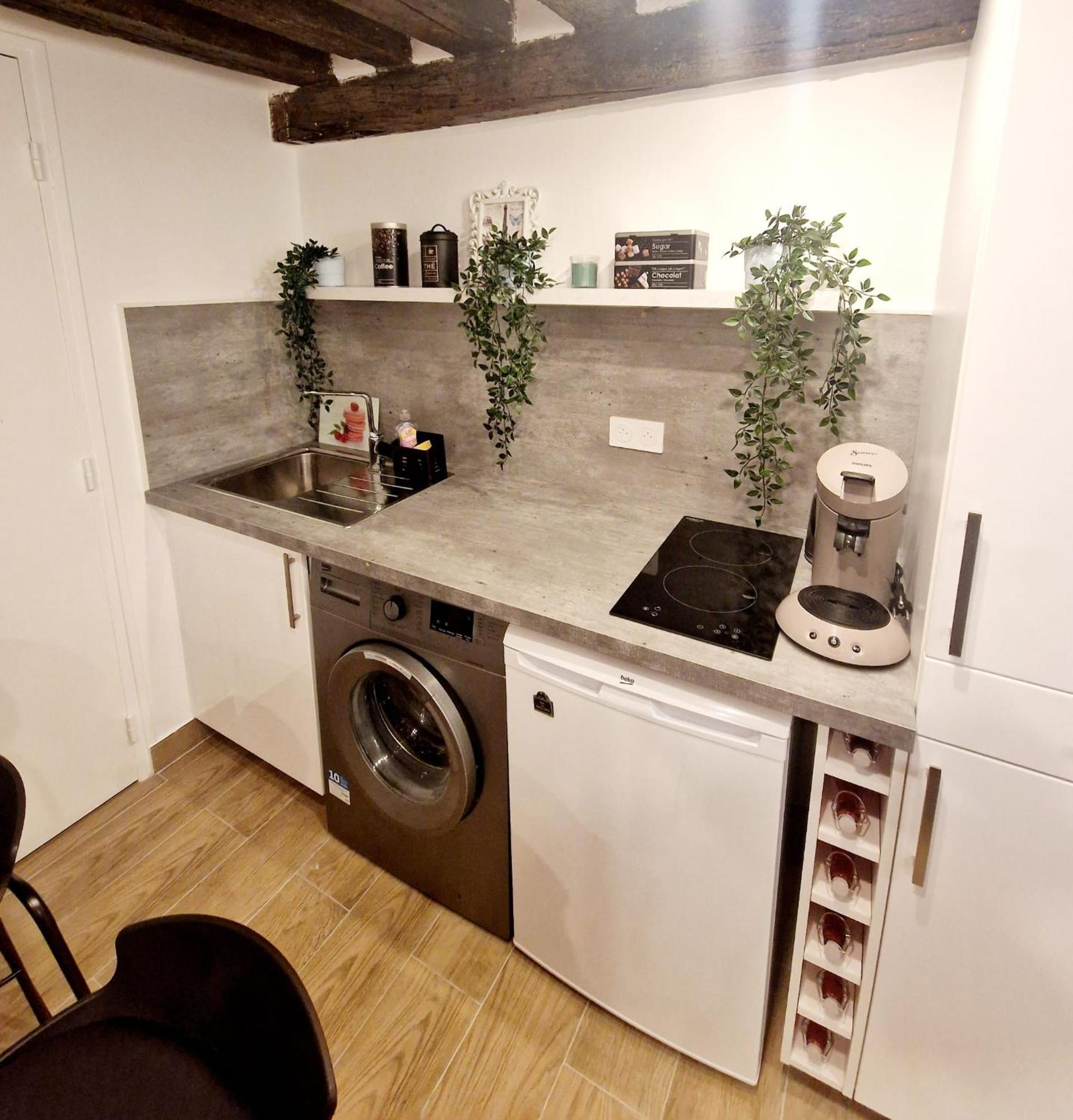 Appartement Au Coeur Du Paris.